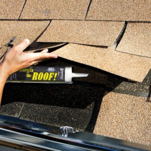 Through the Roof
